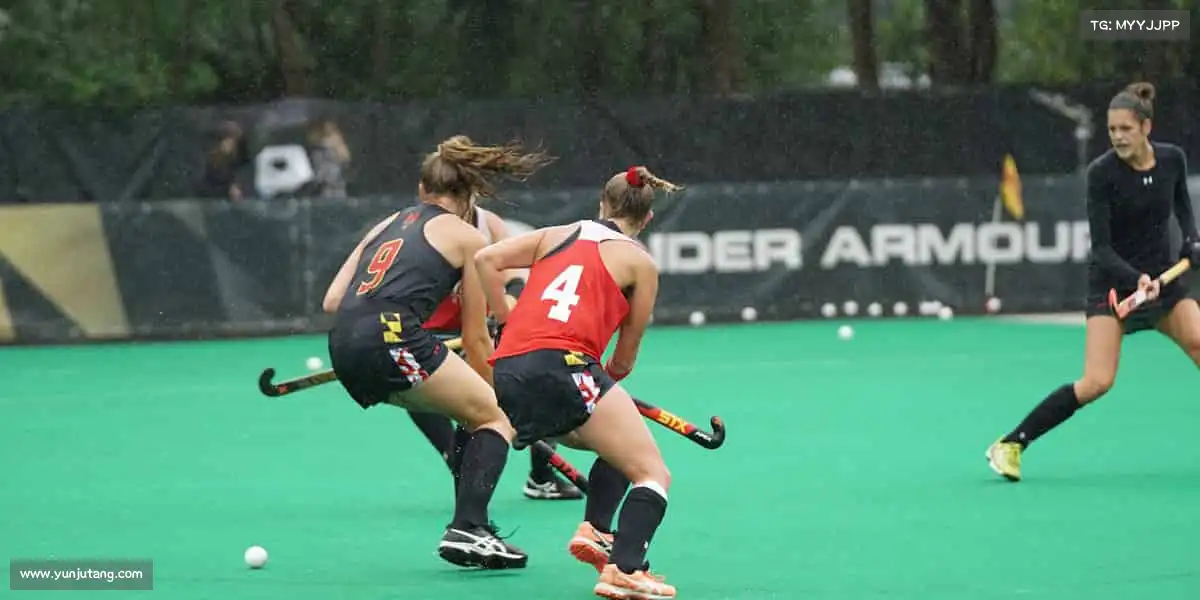 行业领先的理由